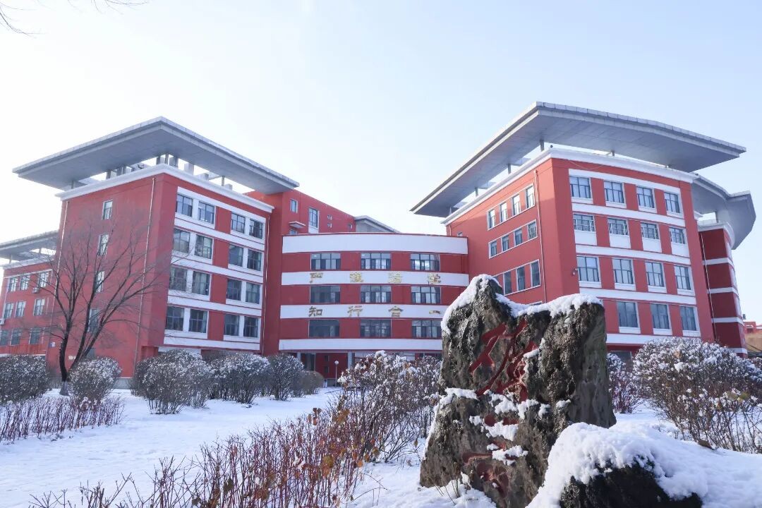 雪落成诗 青春成景丨辽工职院冬日限定